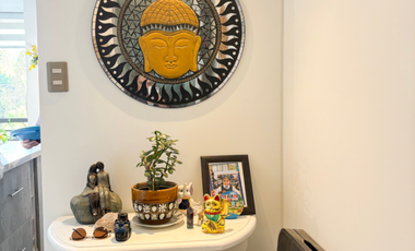 Departamento Centenario, San Miguel / Estacionamiento / 3D 2B