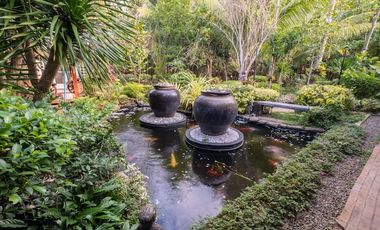 FINCA EL SENDERO EN ALQUILER EN LLAMANOS AL3246433050 DIRECTOS PROPIETARIOS