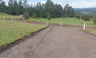 LOTE CAMPESTRE CHIQUINQUIRA SUCRE ORIENTAL