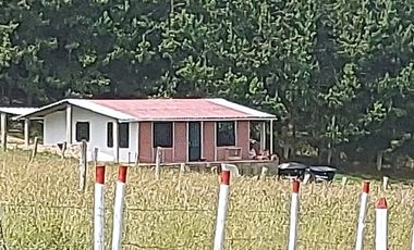 LOTE CAMPESTRE CHIQUINQUIRA SUCRE ORIENTAL