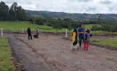 LOTE CAMPESTRE CHIQUINQUIRA SUCRE ORIENTAL