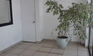 Departamento 3 Dormitorios, 2 baños Tobalaba Walker Martínez