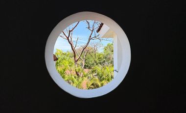 Casa en Sierra del Mar, entre la jungla, con alberca privada, vistas a las montañas. Un paraíso de tranquilidad y naturaleza