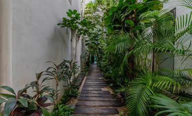 Vista verde garantizada! Exclusiva Propiedad de 2 recámaras con Jardín y Alberca en Luum Zama, Aldea Zama