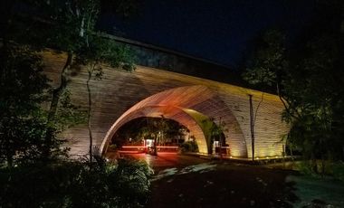 Vista verde garantizada! Exclusiva Propiedad de 2 recámaras con Jardín y Alberca en Luum Zama, Aldea Zama