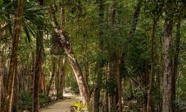 Vista verde garantizada! Exclusiva Propiedad de 2 recámaras con Jardín y Alberca en Luum Zama, Aldea Zama