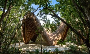 Vista verde garantizada! Exclusiva Propiedad de 2 recámaras con Jardín y Alberca en Luum Zama, Aldea Zama