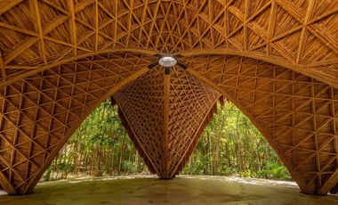 Vista verde garantizada! Exclusiva Propiedad de 2 recámaras con Jardín y Alberca en Luum Zama, Aldea Zama