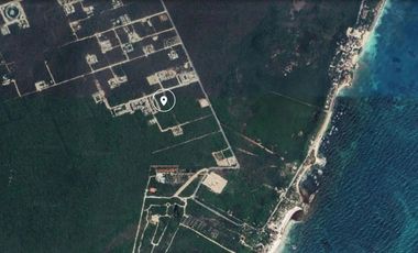 Terreno de 2.500 m2 en Región 8 de Tulum a excelente precio