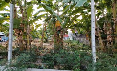 Prime Corner Land Plot for Sale!!! Land for sale: 130 sq. wah (520 sq.m.) in Soi Krungthep-Nonthaburi 44 (Soi Supharuam)