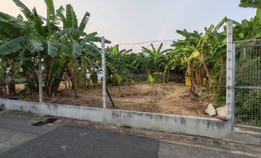 Prime Corner Land Plot for Sale!!! Land for sale: 130 sq. wah (520 sq.m.) in Soi Krungthep-Nonthaburi 44 (Soi Supharuam)