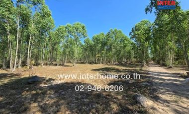 Vacant land 40 rai 49.9 sq.w. Vacant land near Nong Saeng School, near Nong Saeng School, Talat Road, Rural Highway 3239, Pak Phli, Nakhon Nayok