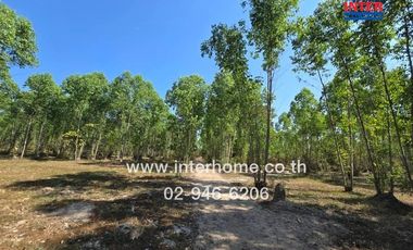 Vacant land 40 rai 49.9 sq.w. Vacant land near Nong Saeng School, near Nong Saeng School, Talat Road, Rural Highway 3239, Pak Phli, Nakhon Nayok