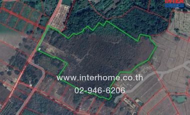 Vacant land 40 rai 49.9 sq.w. Vacant land near Nong Saeng School, near Nong Saeng School, Talat Road, Rural Highway 3239, Pak Phli, Nakhon Nayok