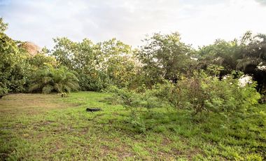 VENTA TERRENO 2.135 M2, MOMPICHE, PROVINCIA DE ESMERALDAS, ECUADOR