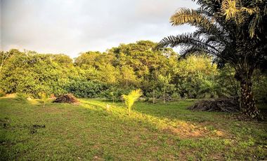VENTA TERRENO 2.135 M2, MOMPICHE, PROVINCIA DE ESMERALDAS, ECUADOR