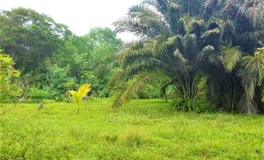 VENTA TERRENO 2.135 M2, MOMPICHE, PROVINCIA DE ESMERALDAS, ECUADOR