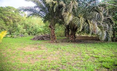VENTA TERRENO 2.135 M2, MOMPICHE, PROVINCIA DE ESMERALDAS, ECUADOR