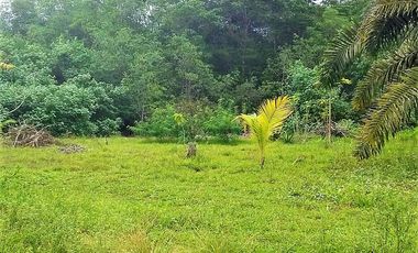VENTA TERRENO 2.135 M2, MOMPICHE, PROVINCIA DE ESMERALDAS, ECUADOR