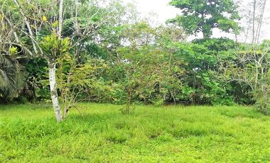 VENTA TERRENO 2.135 M2, MOMPICHE, PROVINCIA DE ESMERALDAS, ECUADOR