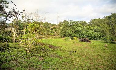 VENTA TERRENO 2.135 M2, MOMPICHE, PROVINCIA DE ESMERALDAS, ECUADOR
