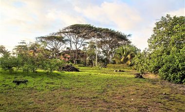 VENTA TERRENO 2.135 M2, MOMPICHE, PROVINCIA DE ESMERALDAS, ECUADOR