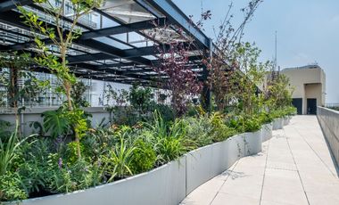 LOFT A DOS CUADRAS DE REFORMA POR EL CABALLITO