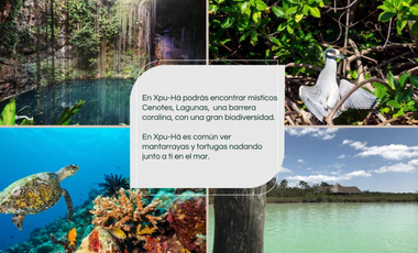 Terreno XpuHa Riviera Maya en Venta Crédito Hipotecario
