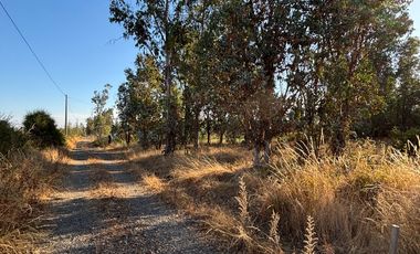 Parcela de 5.000 m2  en loteo San Ramon de Cato en Tres esquina de Cato, Chillán