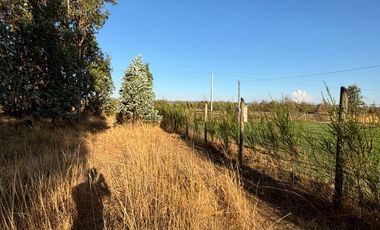 Parcela de 5.000 m2  en loteo San Ramon de Cato en Tres esquina de Cato, Chillán