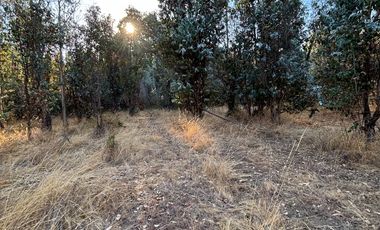 Parcela de 5.000 m2  en loteo San Ramon de Cato en Tres esquina de Cato, Chillán