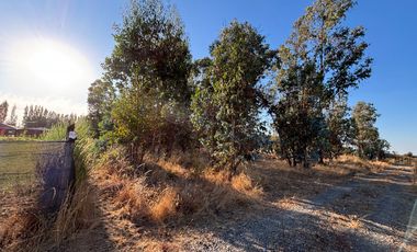 Parcela de 5.000 m2  en loteo San Ramon de Cato en Tres esquina de Cato, Chillán