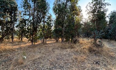 Parcela de 5.000 m2  en loteo San Ramon de Cato en Tres esquina de Cato, Chillán