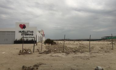 VENDO TERRENO DE 3 HECTAREAS CARRETERA PIURA PAITA