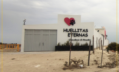 VENDO TERRENO DE 3 HECTAREAS CARRETERA PIURA PAITA