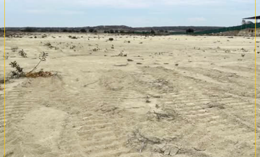 VENDO TERRENO DE 3 HECTAREAS CARRETERA PIURA PAITA