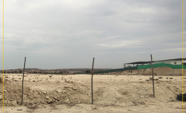 VENDO TERRENO DE 3 HECTAREAS CARRETERA PIURA PAITA