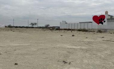 VENDO TERRENO DE 3 HECTAREAS CARRETERA PIURA PAITA