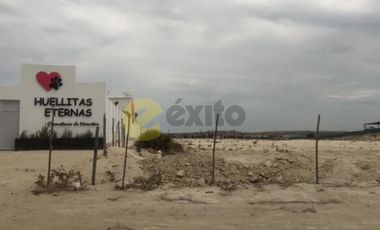 VENDO TERRENO DE 3 HECTAREAS CARRETERA PIURA PAITA