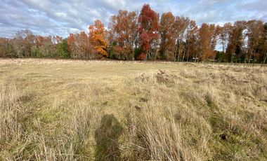 Parcela vista al Volcán 5 km de Villarrica sector Conquil camino todo pavimentado