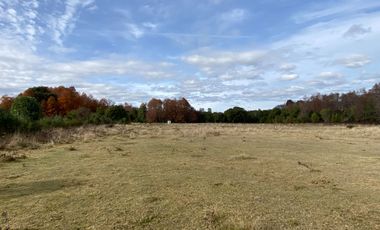 Parcela vista al Volcán 5 km de Villarrica sector Conquil camino todo pavimentado