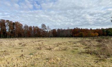 Parcela vista al Volcán 5 km de Villarrica sector Conquil camino todo pavimentado