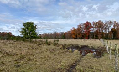 Parcela vista al Volcán 5 km de Villarrica sector Conquil camino todo pavimentado