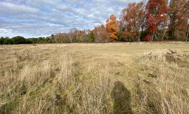 Parcela vista al Volcán 5 km de Villarrica sector Conquil camino todo pavimentado