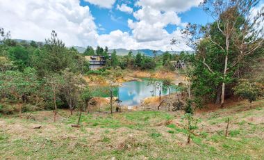 Hermoso lote en venta con represa en Tierra Prometida Guatapé