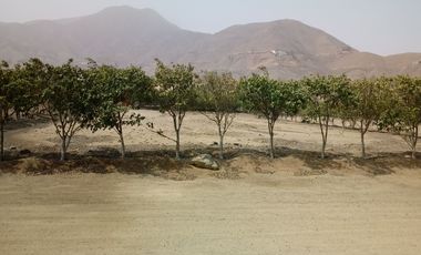 Condominio La Raya Cieneguilla Lote Plano1024 m²