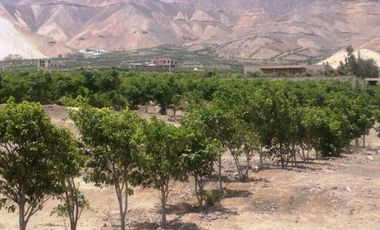 Condominio La Raya Cieneguilla Lote Plano1024 m²