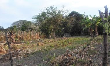 VENTA TERRENO 426 M2, TONSUPA, PROVINCIA DE ESMERALDAS, ECUADOR