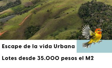 90 Lotes en Venta
