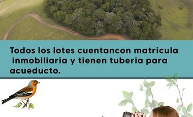 90 Lotes en Venta